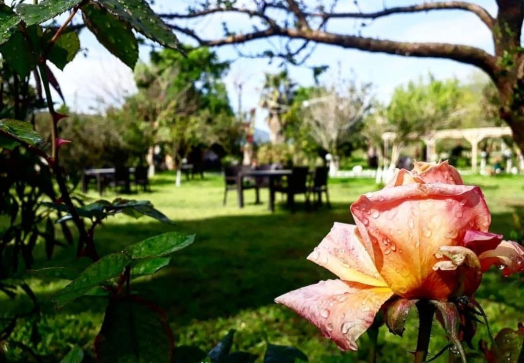 Otantik Tas Ev Bed & Breakfast ดาลามาน ภายนอก รูปภาพ